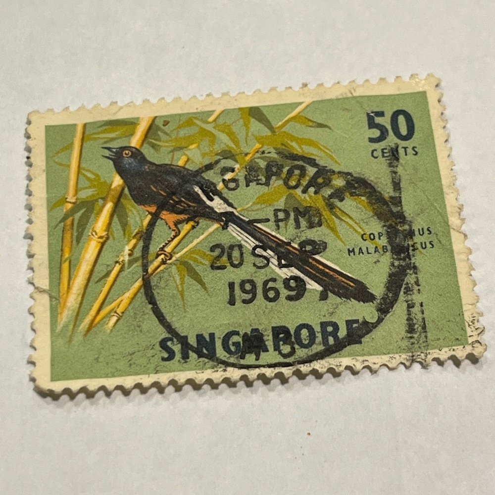 Vintage Old Used Singapore Shama Bird 1963 Postage Stamp